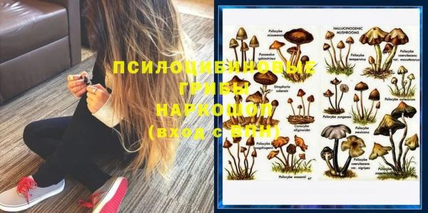 скорость Белокуриха