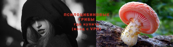 скорость Белокуриха
