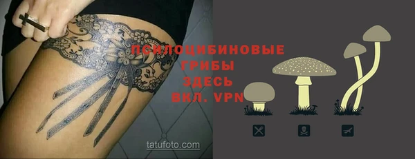 прущие крисы Балахна